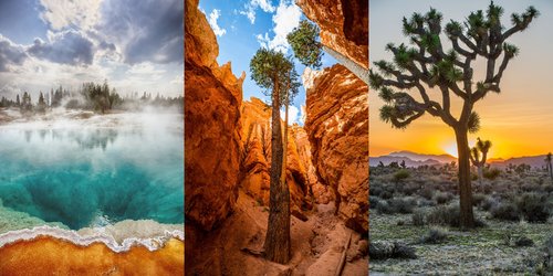 The Best National Parks for Every Kind of Vacation