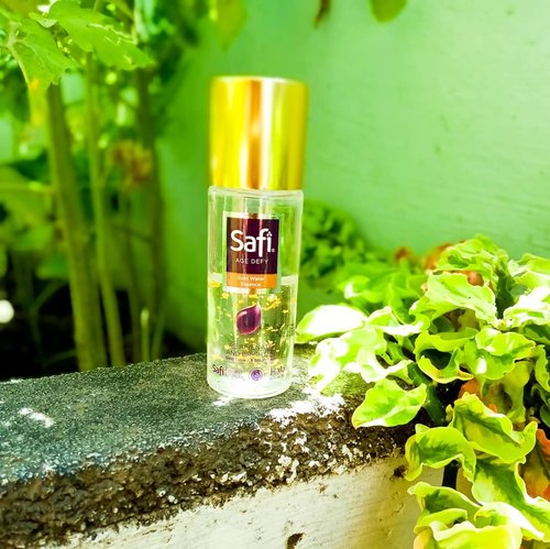 🌵SAFI AGE DEFY "gold water essence"🌵 Hello
 I was given the opportunity from the female daily to try safi gold water essence products.  It's interesting to discuss local brands like this ... super excited
.
.
.
.
. 🌵TEXTURE AND SCENT: In terms of texture I see this essence is not liquid like most other essence.  It has a thick texture and there is a gold flask, you can see in slide number two.  For the fragrance is very friendly with my smell.  The fragrance of a calm flower
.
.
.
.
. 📦PACKINGAN: In terms of packaging this product is made of plastic and has a rotating lid in gold.  I do not like it in terms of packaging that travel size, to issue essence is difficult.  But I see for the full size they provide pump bottles that can make it easier for us to get the product out
.
.
.
.
. 🌻 HOW TO USE: After cleansing the skin, use the toner down first, then apply this essence by patting your skin.  So that the essence is completely absorbed, then you can apply serum and moisturizer
.
.
.
.
.
. 🍁Review: First I used this essence I immediately liked.  make my facial skin moist longer because of the BIO HYALURONIC content that can moisturize the skin .. The essence is thick but right when applied it immediately absorbs and isn't sticky.  Rate: 4.5 / 5

Thank you @femaledailynetwork @safiindonesia
.
.
.
.
Tags 
#skincareroutine #skincarejunkie #skincarereviews #skincarelover #skinroutine #kbeauty #skincare #asianbeauty  #skincarecommunity #skincarediary #beautyproducts #skincareobsessed #skincareproduct #abcommunity #skincareregime #rasianbeauty #Clozetteid #soconetwork