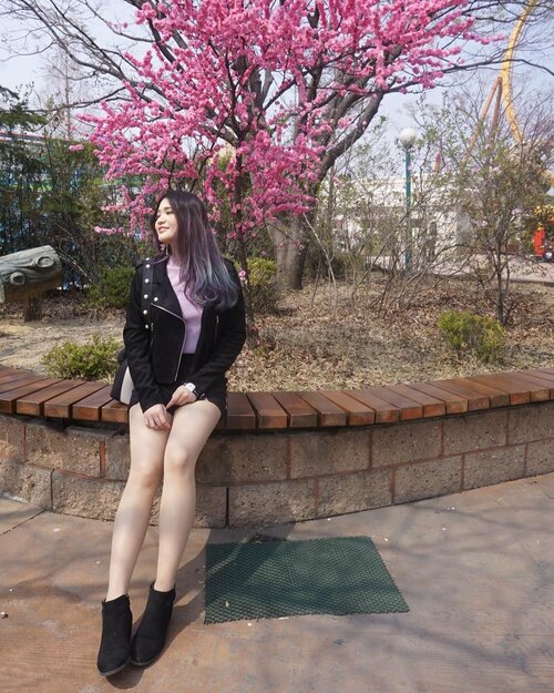 At first glance, I thought this was fake flowers 😂🌸 P.S. it was real, though~
.
.
#NatashaJSinGyeongju .
.
.
.
.
.
.
.
.
.
#gyeongju #springoutfit #outfitideas #outfitinspo #outfitstyles #outfitinspiration #outfits #outfitoftheday #ootd #clozetteid #wiwt #ootdlook #ggrep #경주월드 #봄날들이