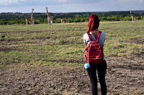 Lets wild be wild ❤ "View" from the nature walk yesterday 😍Can't stop seeing these beautiful creatures 😍#indonesianlivinginbangkok #indonesian #indonesianmakeupartist #aberdare #safari #safariinafrica #holiday #africa #kenya #thistimeforafrica #instagram #instatravel #travel #traveler #travelgram #travelblogger #cathainafrica #starclozetter #clozetteid #iloveafrica #wildlife #letswildbewild #nationalgeographictravel #wwf #animal