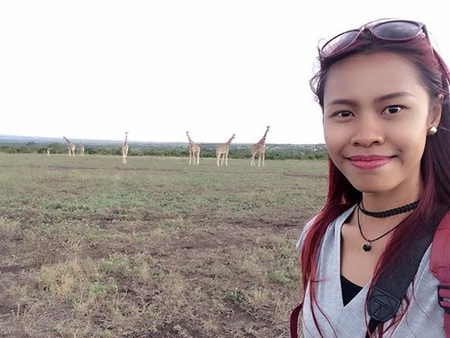 If you knew me then you know I love animals... seeing them in the wild is my bucket list, and now I made it ❤💃🏻 Yesterday having my nature walk to the sanctuary around my hotel, and yes this is what I got after 2hours lovely walk in nature... Seeing groups of giraffe, zebras etc walking freely in front of my naked eyes... how I love this wild life and how stupid us as a human being if we do not care about these beautiful creatures ❤🙏 #iloveafrica #clozetteid #starclozetter #cathainafrica #travelblogger #nationalgeographic #wwf #wildlife #africa #kenya #aberdare #wild #animals #animallovers #holiday #thistimeforafrica #instagram #instatravel #travel #traveler #travelgram #indonesianlivinginbangkok #indonesianmakeupartist