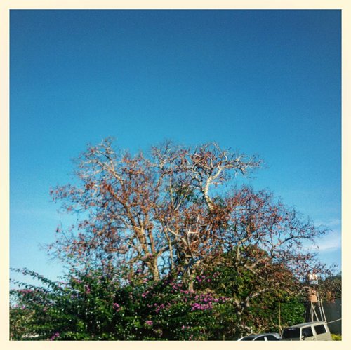 I never get tired of the blue sky. Suka bgt liat langit kalo biru cerah gini💙💙 #clozetteid