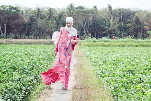 Kalian kampungnya dimana? ..Kalau sya ini lahir dan besar di Papua, setiap lebaran pasti mudik ke Semarang dan Yogyakarta asal kedua orang tua. Saat remaja bapak sya yg seorang peneliti suka pergi dinas ketempat jauh dan lama kembalinya. Maka dia ajak ibuk, sya, dan adik2 pindah ke Jawa supaya kumpul dengan keluarganya jika ditinggal dinas. Ketika pindah ke Jawa, sya baru sadar kampung asli sya di Papua. Jadi sering merasa kangen keindahan alam disana. Kami tinggal di perumahan daerah Dok 8 Atas, perbukitan yg pemandangannya langsung tertuju ke lautan teduh Samudra Pasific dan keriuhan kota Jayapura. Sekarang setelah menikah, kampung sya bertambah lagi yaitu tempat asal suami. Alhamdulillah sya pun suka dengan kampung suami. Banyak buah-buahan disini, tinggal petik saja😀..#beautiful #place #scenery #hometown #homesweethome #village #villagelife #villagepeople #bestday #bestoftheday #bestofthebest #bestmoments #wind #sundayfunday #lebaran2018 #ceritamudik #kampunghalaman #kulonprogo #kulonprogobinangun #explorekulonprogo #vsco #vscocam #vscofilter #clozetteID #clozetters