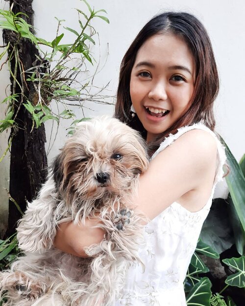 Kenalin, ini namanya Avy, kesayangan akuu #widlimpuppiesdiary , hobby nya jilatin kaki dan berantem sama kembarannya 🤣Nanti kembarannya aku update kapan2 ya gengs 🤪FYI, ini campuran #shihtzu dan #maltese 🥰Difotoin @daisy.limmena 😆#puppies #doggy #dogperson #petsofinstagram #petstagram #petsowner #clozetteid