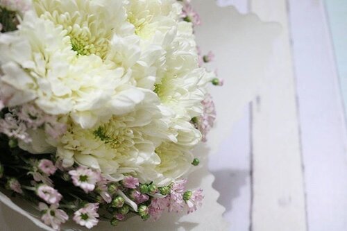 And i'd choose you;
In a hundred lifetime,
In a hundred world,
In a version of reality,
I'd find you and i'd choose you

Cheesy amat ya, skali2 gapapa. *colek @ben_yitzhak
#quotes #flower #mirrorless #gift #ClozetteID #birthday