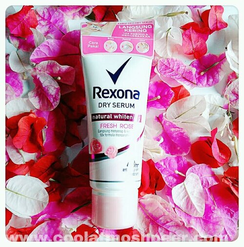 Gaiz...btw kelean udah pada taulah kalo @rexona_id meluncurkan produk deodorant terbaru yang diberi nama Rexona Natural Whitening Dry Serum.Dari 3 varian yang mereka punya aku tertarik buat nyobain varian Fresh Rose 🌹 & kebetulan aku udah pake ini hampir 5 bulanan gitu.Dan ulasan selengkapnya udah aku buatin diblogku. So...buat yang penasaran sama hasilnya kek apa diketiku? Cus kepoin blogku di www.coolatmoshpeer.com atau bisa klik link blog on my bio ⏫..#blogupdate#beautybloggerindonesia#hijabbloggers#bloggirlsid#clozetteid ..#rexona#rexonadryserum#deodorant#armpit#whitening