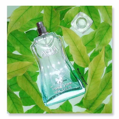 Aulia Eau De Parfum Tropical Storm.Malam Alls, so...hari ini aku mau share mini review dari produk wewangian tubuh yang aku baru aku beli beberapa hari lalu.Price :Under 50K IDR.Packaging :Dikemas kedalam botol kaca (sama seperti EDP kebanyakkan) berwarna hijau tosca transparan. Dibagian botolnya gak berisik soalnya gak banyak tulisan yang tertera. Aku pilih scent Tropical Storm dengan berat 100ml. Sayangnya...EDP aku terima dalam keadaan "telanjang" gitu tanpa segel ataupun box (upss) 😀 so...aku kurang tau apa aja Top Note, Middel Note serta Base Note dari scent Tropical Storm.Scent :Karna gak ada keterangan, finally aku coba gugling apa sih aroma sesungguhnya dari Parfume ini. Dan berikut penjabarannya ⏬ ..Dengan  pilihan aroma eksotis yang tahan lama, senantiasa meninggalkan kesan menawan yang tak terlupakan. Kesegaran Buah-buahan yang berpadu dengan aroma Woody menghasilkan wangi yang unik. Aulia Eau De Parfum ini memiliki aroma Oriental yang berpadu dengan kesan hangatnya Hutan Tropis. ..First Impression :Kesan awal aku sama Aulia EDP Tropical Storm ini, aromanya aku suka cos seger banget udah gitu gak nyegrak sama sekali dihidungku. Saat disemprotkan isinya mudah keluar dan kalo posisi botolnya tertidur atau saat kita bawa ditas isinya tetap aman & gak meleber dari sisi botolnya. Selain itu gak bikin noda apapun dibaju berwarna putih atau warna terang..Tapi...sayangnya wangi si Aulia EDP ini kurang tahan lama, apalagi kalo kita beraktivitas dioutdoor terus tutupnya kurang rapat gitu guys jadi mudah copot dari botolnya tapi wajar aja sih cos harganya juga gak nyampe 50K.So...buat kalian yang lagi nyari Body Fragrance dengan wangi ala ala kesegaran hutan tropis gitu atau buat kalian yang punya kesibukkan padat tapi gak sempat mandi (curcol) si Aulia EDP Tropical Storm ini boleh banget jadi pilihan loh...FYI selain Tropical Storm ini @auliacosmeticofficial masih punya 5 pilihan scent lainnya.#aulia#eaudeparfum#edp#parfume#fragrance#minyakwangi#womenneeds#clozetteid#flatlay#flatlays#flatlayphotography#대일리#일상그램#얼스타그램#뷰티블로거#뷰티스타그램#팩스타그램#ll맛팔#화장품#고덕#뷰티#퍼퓸