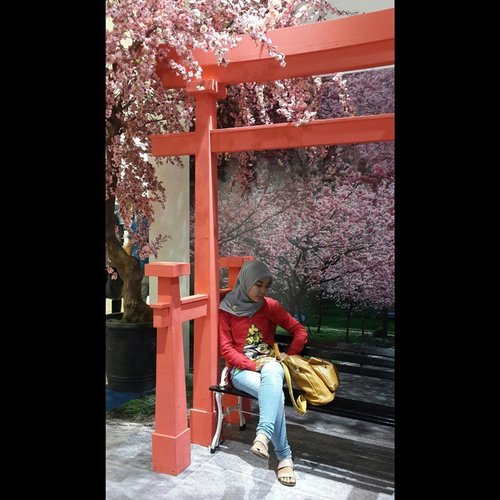 #sakura #view #refresh #happy #clozetteID #red #pink