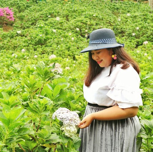 Hydragea and me have so much in common. This flower are actually bunch of tiny little flowers that form a really beautiful and a wholesome flower. Just like me, contains tiny little fat that resulting this absolute unit body. .
.
.
Top: @bodybigsize
Skirt: beli di TP Pagi Surabaya, meleknya i-Moda Plus
Hat: pinjem punya emak
Earrings: @salestockindonesia
.
#tamanbungaselecta
@plussize.sub
#ootd #ootdbigsize #ootdbigsizeindo #fashion #cute #ootdplussize #ootdcurvy #ootdplussizeindo #ootdbigsizeindo #curvy #clozetteid #blogger #bblogger #beautyblogger #surabayabeautyblogger #sbybeautyblogger #curvygirl #plussize
#bodypositive #celebratemysize #ootdindonesia #ootdindo #curvystyleideasid
#influencersurabaya #beautyhasnosize #missbbwindonesia #ootdredhacs #redhacsmixnmatch