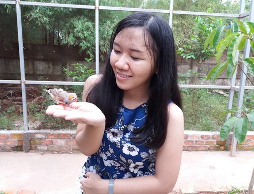 Today .. 🍃🍃🍃🍃🍃
The BEST MOMENT I ever had is when I dared to hold a bird 🐥🐦🐥🐦 I swear, this is my first time to hold many birds ! 😂🐥🐦
#ClozetteId #palembangbirdpark #bird