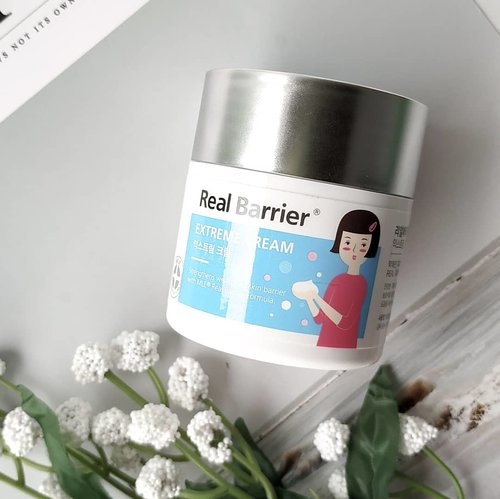 Have a beautiful sunday everyone!!
So, here the last @realbarrier product to review as a part of @stylekorean_indonesia  Try Me, Review Me program.
.
While using Real Barrier Extreme Series, a lot of unexpected things keep coming, and one of the most surprising is, my sensitive acne prone & combination to oily skin love this thick balmy texture cream 😂😂😂.
.
Initially, when I opened the cream's cap I immediately underestimated, like "ewww, my skin doesn't like this kind of cream" The balmy & rich texture will usually feel heavy on my skin. But, when I started to touch the surface of the cream it felt very soft and I started rubbing it on my face, it felt pretty comfortable, it wasn't as heavy as I had imagined. Doesn't have the citrusy or fruity scent, the scent is more refreshing there are hints of mint or lozenges.
.
This product is 50gr in size, packaged in a thick plastic jar, this is a limited edition version with an image of @isul she's so cute btw. The lid material is made like aluminum which is easily scratched if dropped or bumped.
.
With 72 hours hydration, features ceramide 9S™ & ceramide 5SP™ to provide superior hydration. Infused with 3 Calming complex to soothe irritated skin.
.
I like to use this product as a night cream, it provides excellent hydration throughout the night without being sticky and too greasy. I'm using this cream along with other Real Barrier products. When I woke up in the morning my face looked fresher, felt smooth and not too oily, indicated that my skin was hydrated through the night. During using this cream I haven't experienced clogged pores or got new acne. This cream is also very good for dealing with redness and irritated skin.
.
If you have dry skin it seems like you will really like this cream.
.
#stylekorean #stylekorean_global #realbarrier #TrymeReviewme #skincare #dryskin #dehydratedskin 
#kbeauty #skincareroutine #skincarediary #skincarelover #skincarecommunity #beauty #beautycommunity #clozetteID #beautyblogger #sensitiveskin #dryskin #skinbarrier #koreanbeauty #hydrating