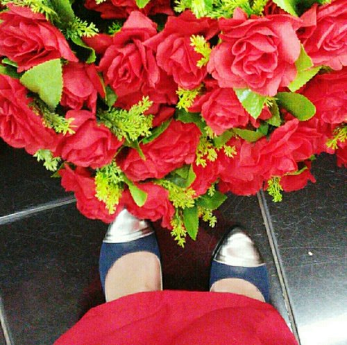 match❤✨ #shoes #rose #redrose #flower