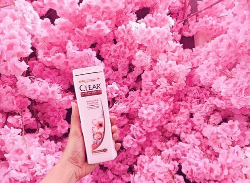 Say hello to the new innovation from Clear shampoo called Clear Sakura Fresh 🌸💕 With the scent of Sakura, this anti-dandruff shampoo now could be find in stores nearby 🙌🏻 Go give a try and let me know your story 😉💕
•
•
•
•
•
•
• #ClearSakuraFresh #clozetter #clozetteid #clozette #bloggerbabes #blogger #sponsored #clearindonesia #clearshampoo #clear #ggrep