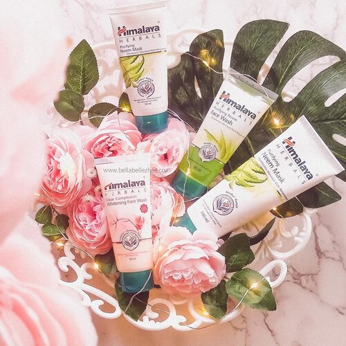 Kurang lebih dari seminggu lalu nyobain beberapa variant skincare dari @himalayaherbalsindo .
Berikut short conclusionnya.
.
🌟Purifying Neem Mask
Masker yang awalnya rada males banget aku coba karena saat di buka tubenya kecium banget herbalnya. Duh..
Saat di coba juga ya nyegak (nyengat banget) bau herbalnya. Tapi mencoba memberanikan diri. Dan 'voíla' kerasa banget efeknya. Beugh mantep gaes. Meski agak sedikit spicy di wajah, dia ini gak bikin iritasi. Cuma ya buat kalian yang tydac suka sama bau herbal dan gampang sensi kulitnya gak di sarankan pake ini ya.
.
🌟Purifying Neem Face Wash
Gentle face wash type ini enak banget waktu dipake. Gak bikin kering di wajah, tapi dia ini nyerap minyak.
.
🌟Clear Complexion Whitening Face Wash
Sejujurnya yang satu ini baru coba sekali aja. Lumayan bikin cerah sih pas pertama kali pakai. Ini bakal di coba lagi. Bakal aq update (kalau gak mager).
.
.
#faceitwithhimalaya .
#Clozetteid #beauty #skincare #skincareenthusiast #skincareherbal #maskerherbal