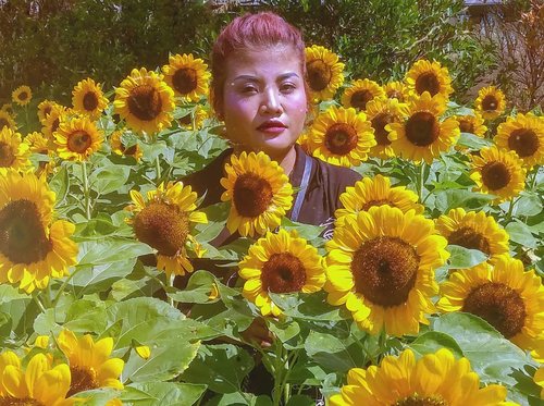 .Aku adalah mawar berduri diantara indahnya sang bunga matahari.Dan taukah kau terkadang aku menyakiti disaat kau mencoba mengagumiku..Shots with LG Q6📷 @zaky_1306 📌 Sunflower Fest @pvjofficial .#clozetteid #beauty #summer #mood