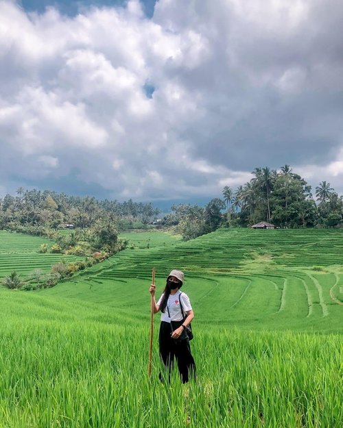 morning trekking with a beautiful green view-📷 @molo.silaban -#idocarebali #WeLoveBali  #wonderfulIndonesia #DiIndonesiaAja #IndonesiaCare #BersamaJagaIndonesia  #ThoughtFulIndonesia #kemenpar #balibangkitchse #pesonaindonesia