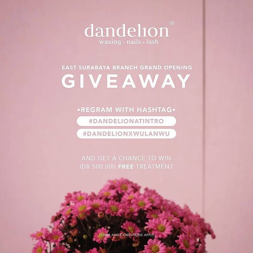 It’s @dandelionwaxingid at @intro_id Grand Opening GIVEAWAAAAYYYY! Getting nails, lashes and waxing done is now closer and easier than you think!.Join me in this GIVEAWAY and get a chance to WIN IDR 500,000 FREE TREATMENT!Just repost this with #DandelionAtIntro #DandelionxWulanWu, tag @dandelionwaxingid@intro_id, and also tag 3 of your friends!.T&C:• Account must follow @dandelionwaxingid @intro_id• Account must not be private• Multiple entries allowed• Last repost by May 30th 2018 at 24:00.Winners will be announced on May 31st 2018, good luck!! 😉#surabayagiveaway #giveawaysurabaya #nailartsurabaya #clozetteid