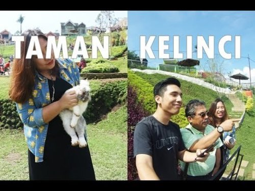 TAMAN KELINCI BATU MALANG JAWA TIMUR | #2 VJJREGINAPIT -  Info di Description box! - YouTube