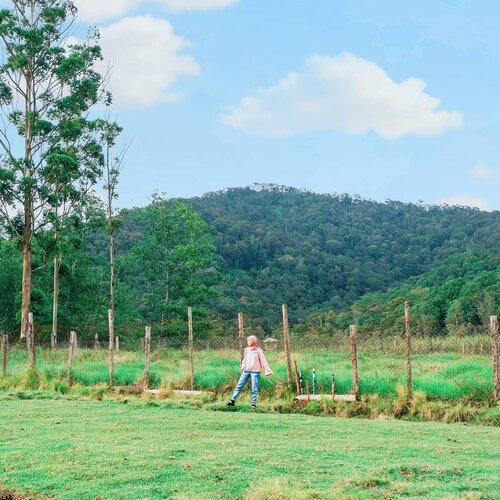 #trowback from my last short gateaway trip to @ranca_upas 🦌⛰. 📸 by @kadeanisa. .In other parallel universe, have a date in the same place with @oohsehun 😅😍...#clozetteid #rancaupas #rusa #deer #rancaupasciwidey #sceneri #mountains #weekendgetaway #lifestyleblogger #lifestyle #farm #deerwhisperer #travelblogger #travelling #ootd #블로거 #얼짱  #라이프 #스타일 #블로거 #ライフスタイルブロガー #ブロガー #かわいい #旅行 #旅行ブロガー#여행 #여행자 #여행스타그램 #hunnyeo #훈녀