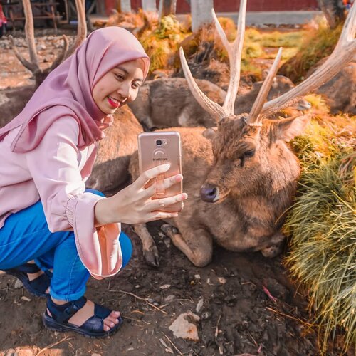 Deer wishper🦌 Safari date(?) With @real__pcy hahahaha😅. Lama juga ya gak jalan-jalan🗺🏕..#clozetteid #rancaupas #rusa #deer #rancaupasciwidey #lifestyleblogger #lifestyle #farm #deerwhisperer #travelblogger #travelling #ootd #블로거 #얼짱  #라이프 #스타일 #블로거 #ライフスタイルブロガー #ブロガー #かわいい #旅行 #旅行ブロガー#여행 #여행자 #여행스타그램 #hunnyeo #훈녀