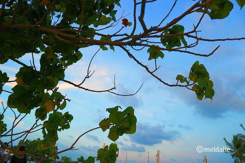 Happy saturday 💘
.
.
.
#beach#sky#canon#canoneosm10#camera#photo#photography#sunset#sea#like4like#photographer#sunsetphotography#clozetteid#quotes#buddhaquotes#motivationquote#inspiringquote