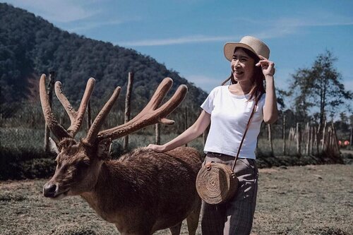 Udah cocok jadi penggembala rusa belum? 🦌..📷: @chrstiaan_ .#explorebandung #exploreindonesia #wonderfullindonesia #pesonaindonesia #rancaupas #ootdstyle #style #styleblogger #ootdindo #fujifilmxt20 #pursuitofportraits #ggrep #clozetter #clozetteID #tribepost #fashionblogger #bloggerstyle #bloggerfashion#bloggermafia #ootdfashion #ootdstyle #influencer #influencerstyle #charisceleb #indobeautygram