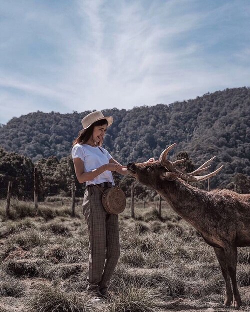 Happy Sunday 🦌✨..📷: @chrstiaan_ .#explorebandung #exploreindonesia #wonderfullindonesia #pesonaindonesia #rancaupas #ootdstyle #style #styleblogger #ootdindo #fujifilmxt20 #pursuitofportraits #ggrep #clozetter #clozetteID #tribepost #fashionblogger #bloggerstyle #bloggerfashion#bloggermafia #ootdfashion #ootdstyle #influencer #influencerstyle #charisceleb #indobeautygram