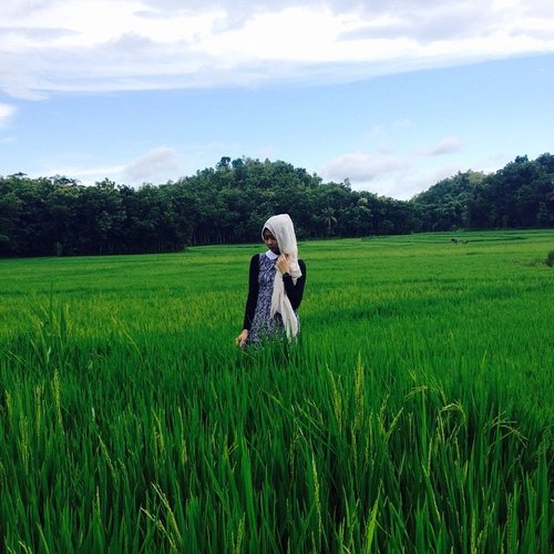 Saturday afternoon and none of the farmers were working.
And yes, ricefield is still number one on my favorite spot lists. 
#ClozetteID #HOTD #ScarfMagz
#thegoodtravelers #travelquote #travel #traveling #fashiontravel #goodtravelersjournal #goodtraveljourney #hijab #hijabers #explorejogja #temple #igers #instapic #photooftheday #picoftheday #instaphoto #likeforlike #iphone #iphonesia