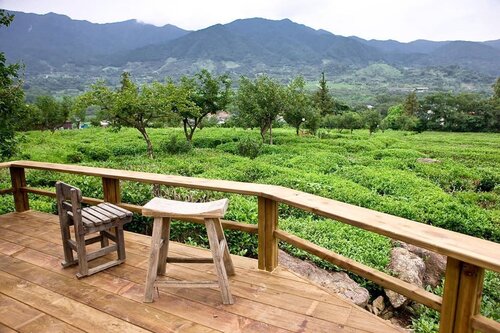 .
Maeam Tea Museum 🌿
What a stunning tea garden! 🍵
Cuma disini kalian bisa belajar tentang teh Korea dari mulai awal sampai kalian bisa menikmati secangkir teh hangat sambil melihat pemandangan yang hijau ini :)
.
Where : 348, Agyangseo-ro, Hadong-gun, Gyeongsangnam-do
.
#timetravel #summer #akudankorea #kekoreaaja #ktoid #wowkoreasupporters #summerinkorea #workwithhappy #playwithhappy #neverstopplaying #dearbeautylove #clozetteid #zilingoid #foodies #foodporn #foodphotography #foodgasm #loveyourself #speakyourself #neverafraid #changedestiny #daretobedifferent #ajourneytowonderland #like4like #may #2020