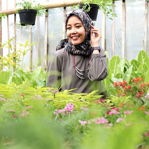 Masih edisi foto bunga. Dibuang sayang soalnya 😁....#instaflowers #garden #gardening #tamanbunga #lembang #starclozetter #clozetteid #lifestyleblogger #indonesialifestyleblogger #momblogger #emakblogger #hijabmom #hijabersindonesia