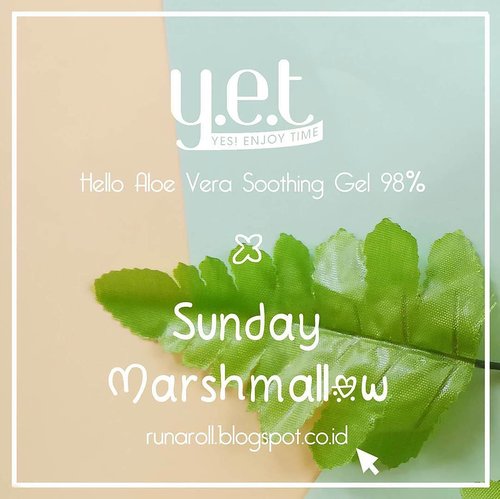This is my first time trying to review a product that I've been using in recent 6 months. 🌵 Y.E.T Yes Enjoy Time x Sunday Marshmallow 🌸

You can read the review on my blog runaroll.blogspot.com or just click the link on my bio.

It's in english and bahasa.
__________________________
Ini pertama kalinya aku mencoba untuk menulis review tentang produk yang aku telah gunakan dalam 6 bulan ini. 🌵 Y.E.T Yes Enjoy Time x Sunday Marshmallow 🌸

Kamu bisa baca reviewnya di blog aku runaroll.blogspot.com atau klik link yang ada di bioku.

Post dalam bahasa indonesia dan bahasa inggris.

#clozette #clozetteid #beauty #skincare #review #YET #yesenjoytime #helloaloevera #soothinggel #soothe #sundaymarshmallow #blog #blogger