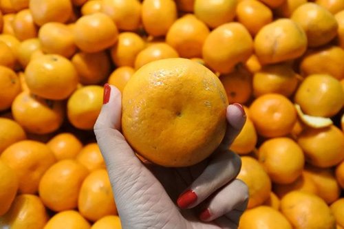 Siapa sih yang gak tau manfaat buah jeruk. Selain untuk melengkapi kebutuhan vitamin C, ternyata buah yg satu ini banyak banget manfaat. Sebagai antioksidan, mengontrol tekanan darah tinggi dan kolesterol, dan yg lebih dasyat bisa mencegah kanker.

Makanya aku rajin konsumsi buah jeruk setiap hari, baik itu di juice maupun makan langsung.
.
Username : Olive
.
.
.
.
.
..
.
.
.
.
.
.
.
.
.
.
.
.
.
.
.
.
.
.
#WTFIT #KadoJemma @womantalk
.
#LYKEambassador #ClozetteID #Blogger #indonesianblogger #beautyenthusiast #FashionEntusiast #BeautyLovers #FashionLovers #LifeStyleBlogger #beautyblogger #indonesianbeautyblogger #indonesianfemaleblogger #femaleblogger #indobeautyblogger #ootd #outfitoftheday  #streetfashion #dailyfashion #like4like