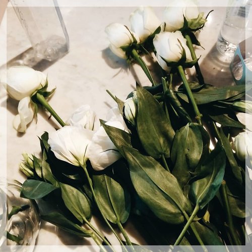 "Purity and innocence of emotions.Clarity and sincerity means no matter what side they are to be given"..#clozetteid#whiterose #flowers#rose #flowerose