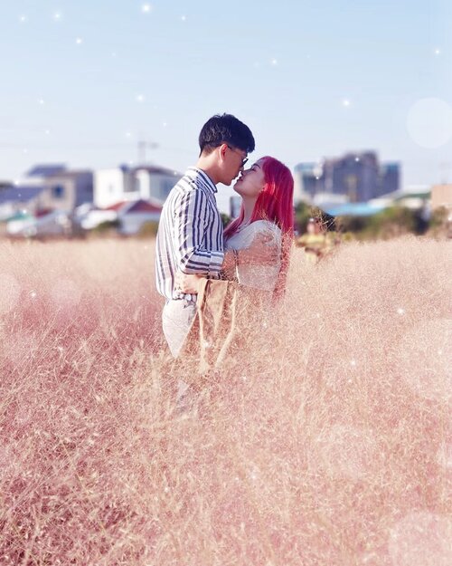 To. Pink lover💖“The color pink makes everything look pretty”Are you fans of pink color? Or you want to capture dreamy feeling of your instagram photo? Here is the perfect place for you but it’s not really pink in real so you need some layer of filters 😂Location: pink Muhly, @mrs.bookchon , JeJu IslandPhoto by #selfphotoshoot