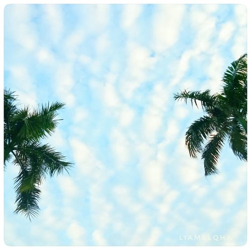 Foto langit pertama yang lumayan sih menurut aku. Kalo bukan diri sendiri yang muji, siapa lagi ya kan? 🙈. BTW, hari ini Jumat, besok Sabtu. Have a nice day ♥.⠀⠀⠀⠀⠀⠀⠀⠀⠀⠀⠀⠀⠀⠀⠀⠀⠀⠀#ClozetteID #Sky #skyphotography