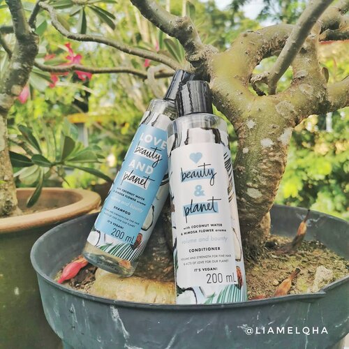 Love Beauty and Planet Coconut Water and Mimosa Flower Aroma Shampoo and Conditioner (Volume and Bounty). #SOCOBOX dari @beautyjournal@sociolla @lovebeautyandplanet_id Shampoo dan Conditioner ini memiliki aroma kelapa dengan sedikit hint citrus. Kemasan 200ml ini nggak gampang tumpah dan sticker plastiknya ada embosnya. ini cocok di rambutku yang sudah dibleach. Nggak bikin rambut makin kering.Shampoonya di aku termasuk lumayan banyak busanya dan conditionernya bisa melembabkan dan melembutkan rambutku. Padahal sebelumnya aku harus menggunakan masker rambut. Yang bikin makin cinta, kombinasi kedua shampoo dan conditioner ini nggak bikin rambut lepek. Sesuai dengan fungsinya 'Volume and Bounty', meskipun rambutku masih basah habis keramas, rambutku nggak lepek. Pas udah keringpun tetap bervolume.Produk #lovebeautyandplanet ini:- YES VEGAN- YES This Bottle is Made from 100% Recycled Materials- YES 95% Biodegradable Formula- YES Natural Coconut Water- YES Ethically Sourced Rose- YES Organic Coconut Oil- YES with Plant Based Ingredients*- YES Not Tested on Animals- NO added Siliocnes- NO Added Parabens- NO Added Dyes- NO Guilt*cleansersCerita tentang 2 foot terakhir cek stories/highlight #socoboxxlbp 😘#SociollaBlogger #sociollabloggernetwork  #ClozetteID #hairproducts #bleachedhair #veganshampoo