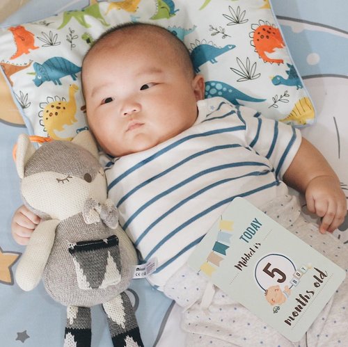 Mikkel is 5 months old today!Milestones:❤️ Weight - 8,3 kgs❤️ Height - 62cm❤️ Drink milk 120ml every 2 hours❤️ Love to do tummy time and able to lift his head (strong and steady) .❤️ Sit upright for longer periods of time❤️ Sleep through the night❤️ Non-stop babbling❤️ Love to play .❤️ Excited when listen to the music .❤️ Always show "Freeze-Pose" everytime we do proper photoshoot 🤪Mama and Papa just can't wait to watch you grow, my little baby Mikkel (or big baby?)Please stay healthy and happy because we will always love you forever❤️❤️#baby #clozetteid #babyboy #love