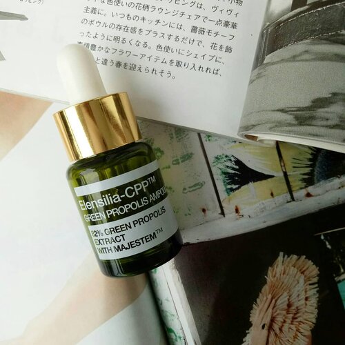 Back at it again posting  #InaSkincareRecipe 😆

I was triggered to buy this ELENSILIA-CPP green Propolis Ampoule because its ✨✨green propolis✨✨ (at that time I was a sucker for anything green skincare😂😂), which I thought would help me calms down my skin.
-
It did made my skin looks healthier. Didn't work on my PIH and PIE. The first thing that I notice the most, other than the "glowing effect", that it does make me feel my skin more plump and firm and younger... Is it bcs of the MAJESTEM cell? Majestem is an active ingredient which provides a visible lifting and tends to tighten the sagging neck and lift up the cheek (according to Google, lol). I'll definitely gonna stack up more of this when I turn 28!! The texture is quite thick.. But way runnier than the gold version. It feels thick and might be uncomfortable with you have oily skin, so it's best mixed with foundation if you still want to look ✨glowing✨but don't want to feel its "thickness". It has a little gold particle in it, which reminds me with Pond's Gold Serum(?) and disappears when it's applied onto skin.

I regret that I didn't buy bottles of this bcs it costs much more expensive in our local online marketplace 😂 I bought it around 75kish for 15ml, while people here sell it 150k-ish.

#koreanskincare #koreanbeauty #idnskincarecommunity #acneproneskin #skincarereview #skincareregimen #beautycommunity #skincarejunkie #skincareaddict #makeupreview #skincareproduct #instaskincare #acne #skincareblogger #skincarecommunity #instabeautyblogger #skincaregeek #acnesurvivor #beautyblogger #bloggerperempuan #clozetteid #intothegloss