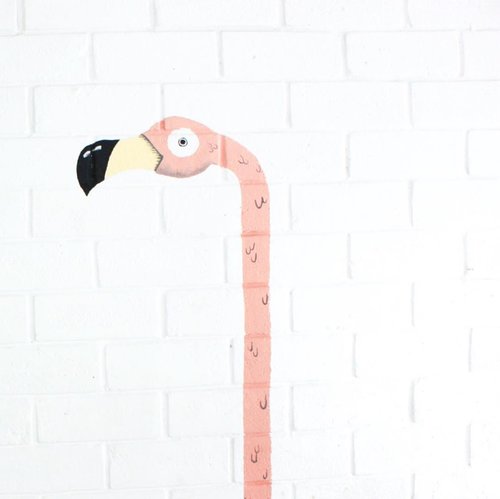 Wake up late because of korean drama😪
.
Flamingo say 'have a good day!'🌸
.
#clozetteid