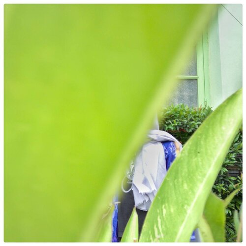 Another captured by @iam_mbombi 😂😂😂
#clozetter 
#clozetteid 
#exploresemarang
#greenery