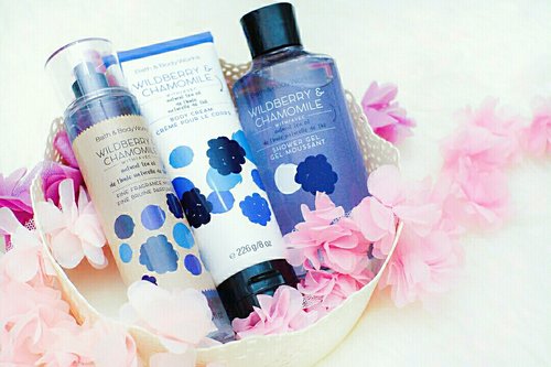 this is new ESSENTIAL collection from @bathandbodyworks 😍😍 Wildberry & Chamomile 💕
.
with fresh mix of white ginger, wild blackberry and natural tea oil fragrance 🌱
.
💋 Fine Fragrance Mist with carefully crafted bottle & sophisticated pump, delivers great coverage while conditioning aloe mist nourishes skin for the lightest, most refreshing way to fragrance
💋 Ultra-nourishing Body Cream that pampers ur skin with 24-hour moisture & comforts the senses with an aromatic blend of fragrance
💋 Shower Gel cleanses and comforts the senses with an aromatic blend of fragrance.. Enjoy real benefits from good ingredients including nourishing Shea Butter and soothing Aloe & Cocoa Butter