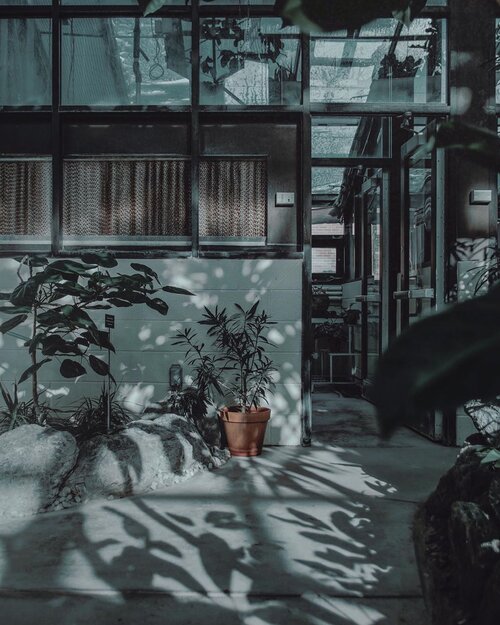 FOUND ANOTHER ONE OF AESTHETIC SHOT FROM @unsplash by: HAYLEY CATHERINE. SUCH AN INSPO 🌿•Ngeliat foto ini jadi pengen deh rasanya punya satu ruangan di rumah yang konsepnya begini. Kayaknya tuh adem and sejuk gitu, what do you think?––And tell me your favorite moodboards💕••••#visualambassadors #visualdiaries #visualcreatorz #ijulifestyle #ijulifestyler #asianmen #menbloggers #bloggerindonesia #indoblogger #fashionlifestyle #reposting #visualjournaling #visualmen #reedit #lifestylebloggers #igstylediaries #igstyleblogger