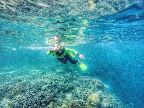 Pisces 🐟🐟🐟. #clozetteid #clozetteambassador #gopro #goprohero4 #underwater #pulaubuton #exploreindonesia #travelblogger #bloggers #beach #butontengah #sulawesitenggara