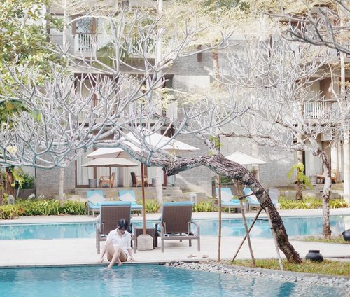 Morning. Can you see a unicorn🦄 there? The unicorn is falling in love with the new play ground. Meets 🐿️🐿️🐿️🐿️ too there🖤
#hotel #resort #courtyard
#bali #nusadua #swimmingpool #unicorn #clozetteid #vacation #holiday #photooftheday #pictureoftheday