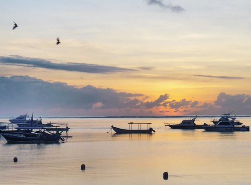 Without love, we are birds with broken wings. Fly love birds, fly~🕊🌝🕊
Sanur Sunrise 😍😍
#Sanur #Sunrise #birds #love #lovebirds #fly #boat #silhouette #beach #sea #Semawang #Bali #PesonaIndonesia #exploreBali #sky #skyporn #nature #naturelovers #travel #traveling #traveler #photooftheday #pictureoftheday #lifestyle #clozetteid
