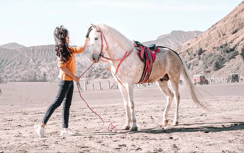 You're such a beauty..eventhough surrounded by the dust. You are beauty in the dust. 🦄❤️
Keep being nice, eventhough people laughing at you, talking shit about you. God is always be with you❤️
.
#horse #kuda #whitehorse #unicorn #beautiful #clozetteid #bromo #eastjava #travel #traveler #traveling #trip #dusty #mountain