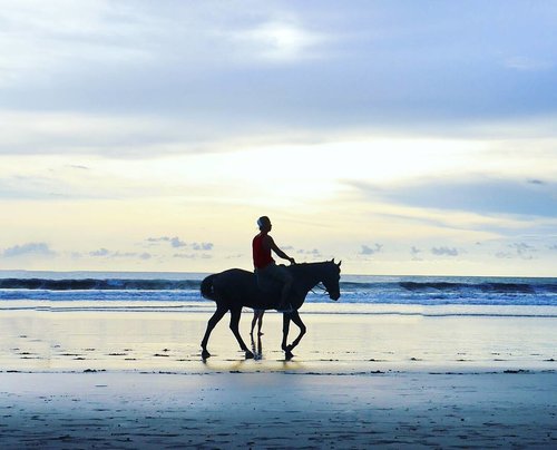 A horse with 6 legs 🦄
#sunset #horse #legs #pet #riding #horseriding #horses #animal #cuteanimal #beach #kuta #sea #sky #skyporn #silhouette #beachsand #kuta #bali #lifestyle #travel #traveling #traveler #traveller #trip #holiday #pesonaIndonesia #wonderfulindonesia #pictureoftheday #fairytale
#photooftheday #clozetteid