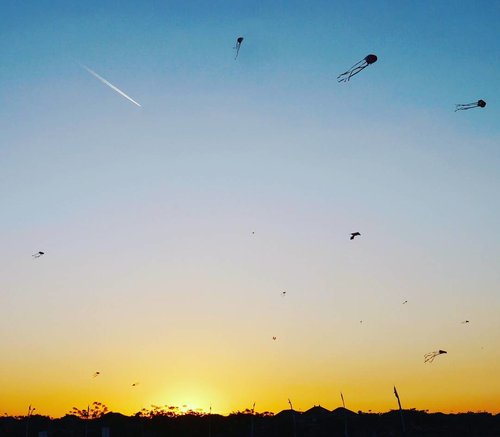 The jetplane & the flying kites look like the explosion, with the sunset as the center. 🌅🌋
The explosion of tadpoles. Ledakan kecebong😄
Surabaya Internasional Kite Festival 2017
#sunset #jetplane #tadpole #kites #sky #skyporn #surabayakitefestival2017 #surabayainternationalkitefestival2017 #kitefestival #kite #layanglayang #event #lifestyle #photooftheday #pictureoftheday #surabaya #wonderfulIndonesia #pesonaIndonesia #travel #traveling #traveler #clozetteid