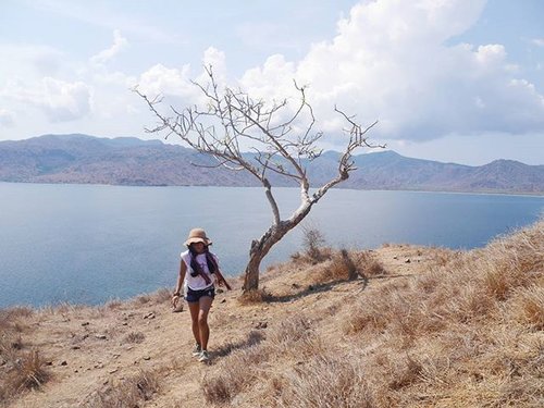 At some point, you have to realize that some people can stay in your heart, but not in your life~
#pesonaIndonesia #saptanusantara 
@ Komodo island
Go to Pink Beach, and find the hill!
#komodo #island #hill #blue #sea #dry #twigs #branch #sky #travel #travelling #traveller #traveler #sneaker #hat #tshirt #shortjeans #pond #ootdindo #ootdshare #clozetteambassador #ClozetteID @clozetteid #travelinstyle #tourism #Indonesia #wonderfulIndonesia #photooftheday #cloud
