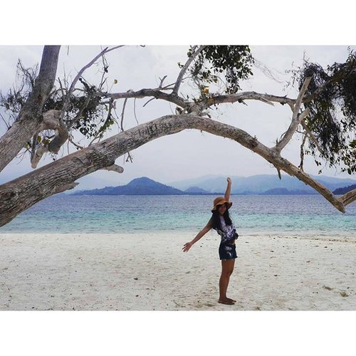 Kelagian island! 🙌 #pesonaIndonesia @indtravel
This is one of famous beach in Lampung, not far from Jakarta.
Look at the gradation of the beach! 😍
You can dance with nemo fish, snorkeling with clear soft coral and its view of mountain, feels smoothy sand in the beach, and feels like private island. 
#Kelagian #beach #Lampung #Indonesia #sea #travel #travelling #traveling #traveler #wonderfulIndonesia #photooftheday #saptanusantara #tree #ootdindo #ootd #ootdindo #ootdmagazine #travelinstyle #shortjeans #hat #sandal #clozetteambassador #clozetteID @clozetteID